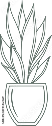 Minimalist line art illustration depicting a stylized snake plant or mother in laws tongue housed within a modern geometric outline container.