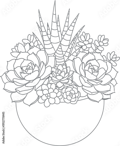 A beautiful black and white line art illustration featuring a diverse collection of decorative succulents thriving in a simple round pot, perfect for plant enthusiasts and minimalist design.