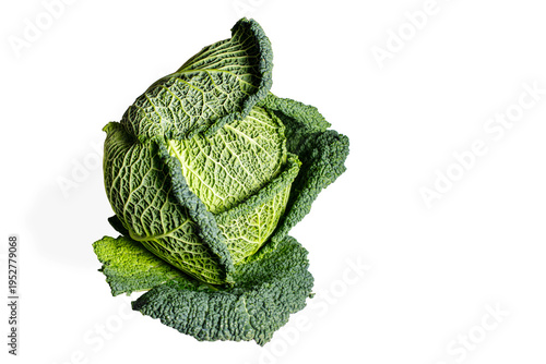 Savoy cabbage isolated on white background