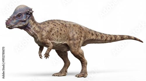 Pachycephalosaurus profile prehistoric dinosaur side view illustration
