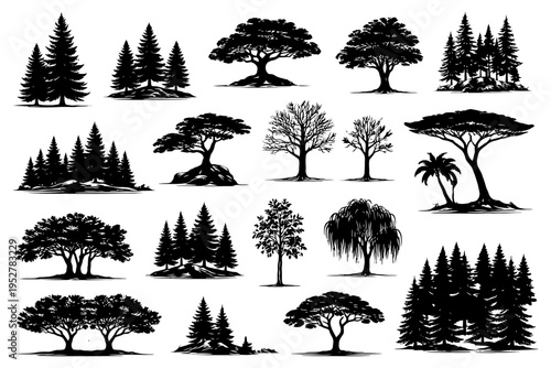Silhouette collection of diverse tree varieties in nature.
