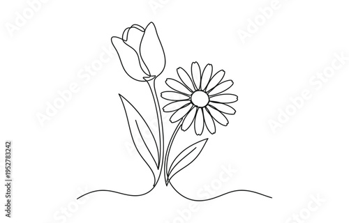 One Line Vector Drawing of Tulip Flowers. 