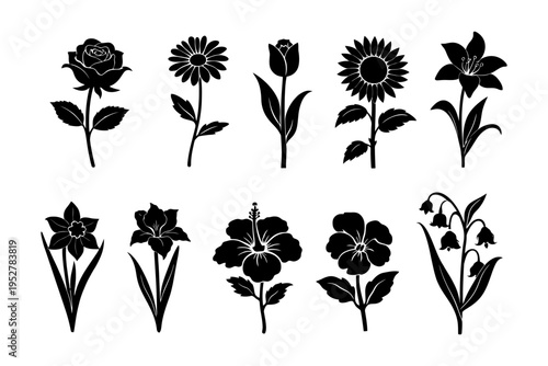 Silhouette collection of ten different flower types in black.