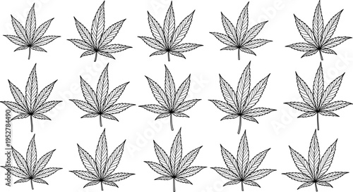 Cannabis leaf outline collection, marijuana hemp plant line art set, flat vector illustration isolated on white background