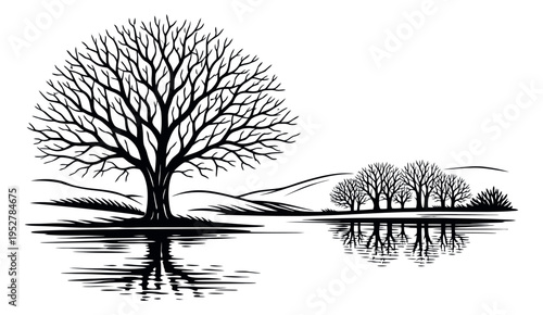 Line art illustration of bare trees depicting a winter landscape with reflections for nature concepts