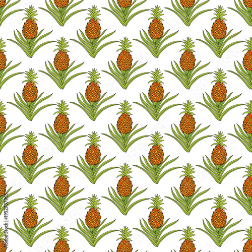 Seamless pattern with hand drawn pineapple, vector illustration