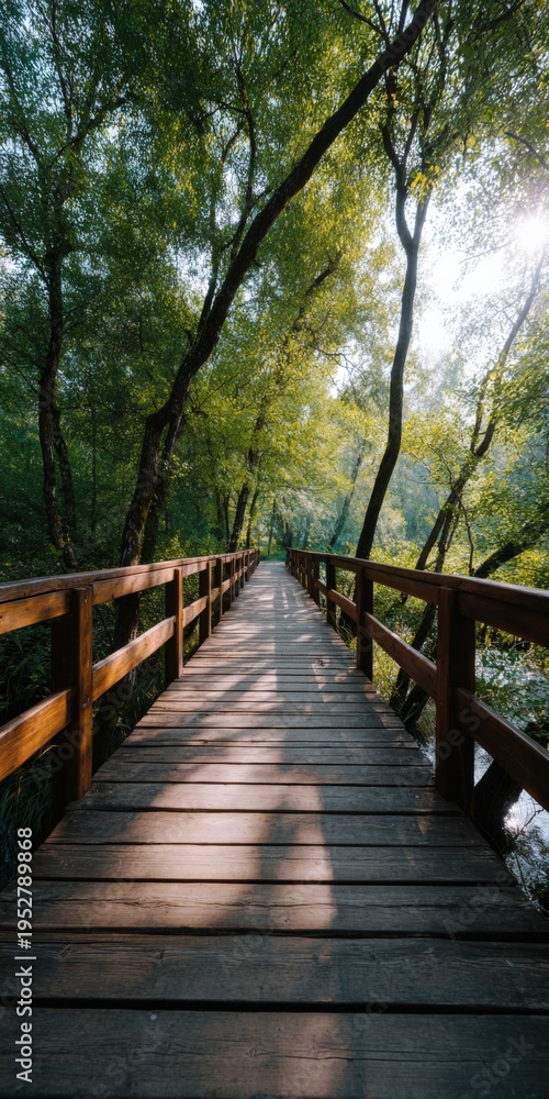 Fototapeta premium Wooden bridge boardwalk with railings through sunlit forest trees casting long shadows along the pathway for a peaceful nature walk