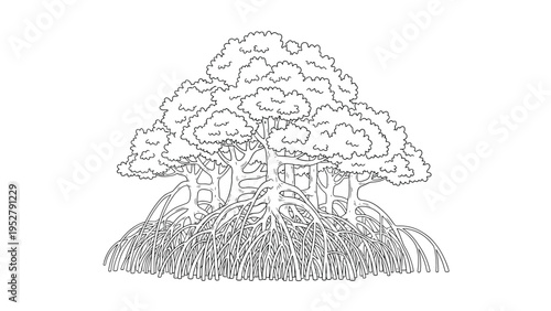 Intricate black and white line art of a mangrove tree with its characteristic dense aerial root system on white background.