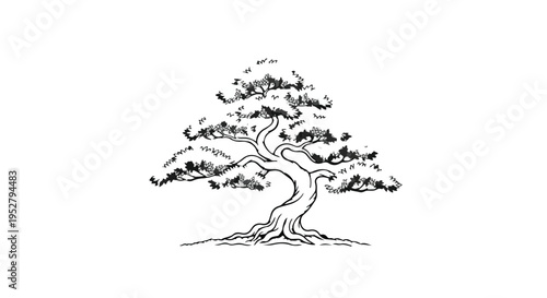 Bonsai tree displays intricate branches and artistic roots in a minimalist style that serves as a decorative graphic element for nature designs.