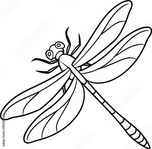 Simple black and white outline vector illustration of a single dragonfly with transparent wings, ideal for coloring books, educational materials, or nature-themed designs.