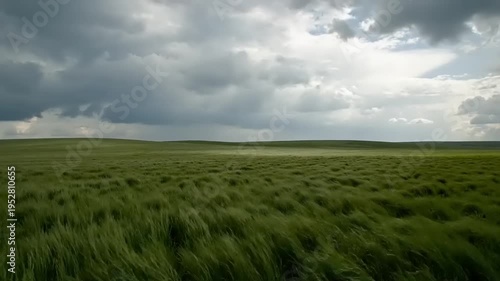 Windy Day in a Green Meadow Landscape.