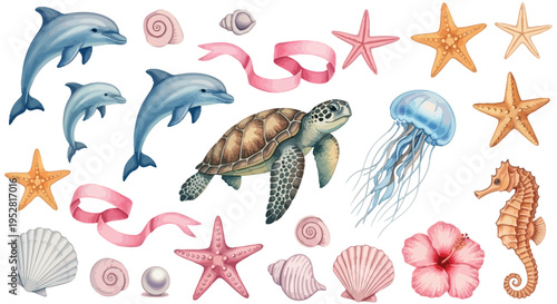 Watercolor Ocean Elements Dolphins, Sea Turtle, Jellyfish, Seahorse, Starfish, Seashells, and Hibiscus