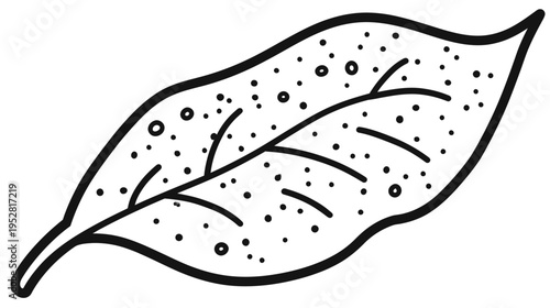 Black and white illustration of a leaf with veins and dotted texture