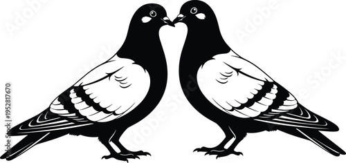 Two Pigeons Facing Each Other Couple of Birds Black and White Vector Illustration Isolated on White Background Peace and Love Concept