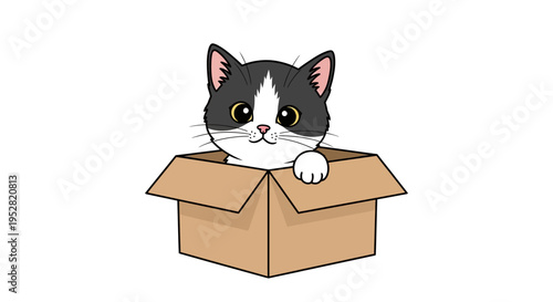 Cute cartoon cat peeking out of a cardboard box, playful pet illustration
