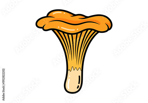 Stylized illustration of a bright orange chanterelle mushroom with a thick stem