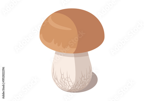 Simple illustration of a porcini mushroom with a brown cap and white stem on a white background