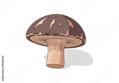 Stylized illustration of a single brown mushroom with gills and a shadow on a white background