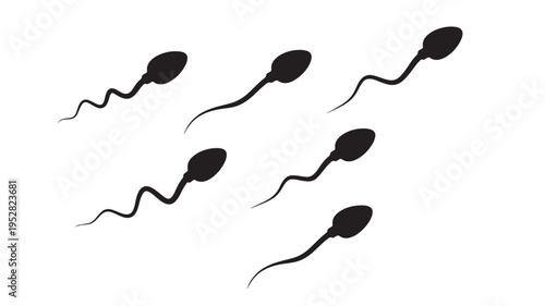Sperm cells isolated black silhouette illustration depicting movement and biological reproduction on white background.
