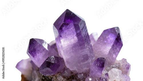 Obraz na płótnie Isolated vibrant purple amethyst crystal cluster with raw rock base, natural min