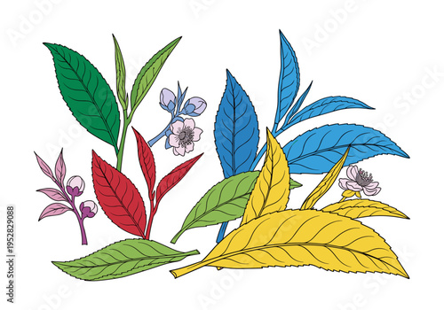 Colorful illustration of tea leaves and blossoms in various shades of green, red, blue, and yellow