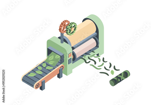 Industrial machine processing green leaves into a rolled product on a conveyor belt