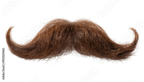 Photos Isolated brown artificial mustache, styled with elegant curled ends, perfect for dress-up