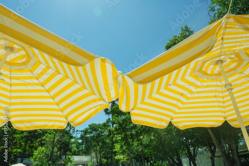 Empty swimming pool with sunbed and white umbrella in resort hotel for vacation leisure and white sand,resort neary sea and beach in summer.
