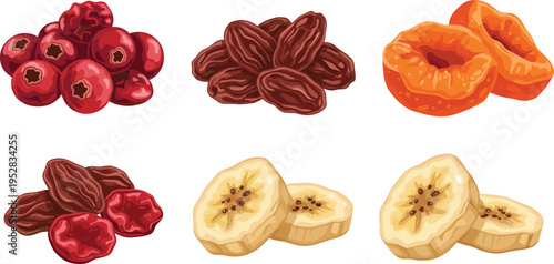 Vector Illustration of Dried Fruits Including Cranberries, Raisins, Dried Apricots, and Banana Slices