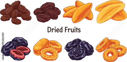 Vector Illustration of Various Dried Fruits Including Raisins, Dried Mango, Prunes, and Pineapple Slices