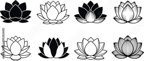 Collection of eight black and white lotus flower in various styles lotus flower water lily floral black and white