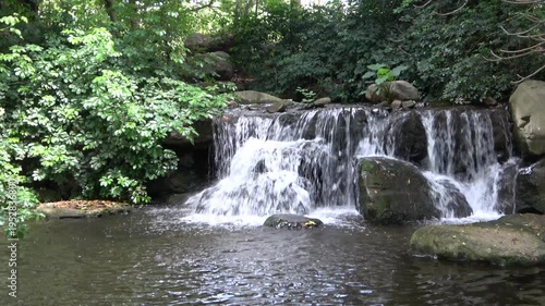 small waterfall in the forest