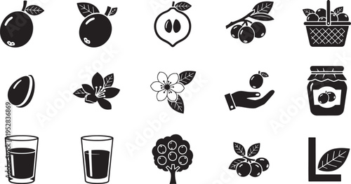 Black fruit plum cherry apple tree jam basket and glasses collection of simple flat black and white