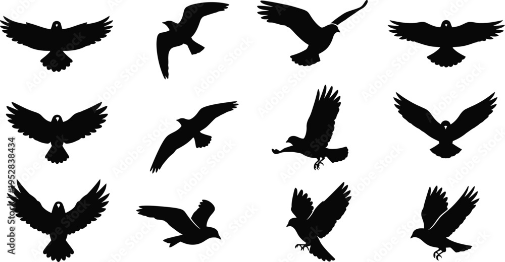 Fototapeta premium Twelve black bird silhouettes in various flying poses on a white background flying bird wings bird flight