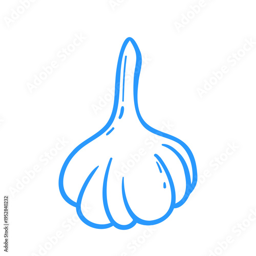 Garlic head. Linear doodle vegetables and spices illustration. Mediterranean lineart vector clipart for design.