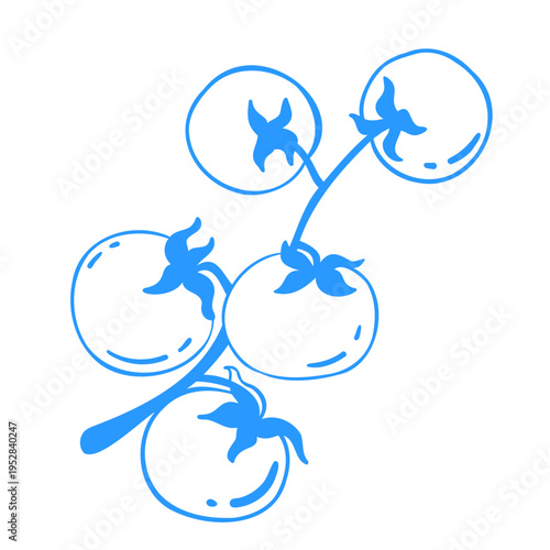 
Five tomatoes on a branch. Linear doodle vegetable illustration. Mediterranean lineart vector clipart for design.
