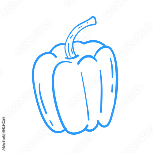 Sweet pepper. Linear doodle vegetable illustration. Mediterranean lineart vector clipart for design.