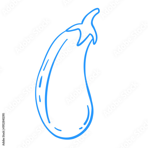 Eggplant or zucchini. Linear doodle vegetable illustration. Mediterranean lineart vector clipart for design.