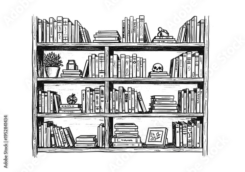 Hand-drawn illustration of a bookshelf filled with various books, a potted plant, and decorative items