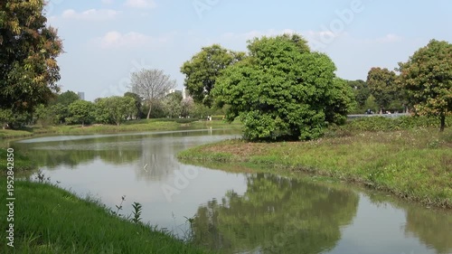 river in the park