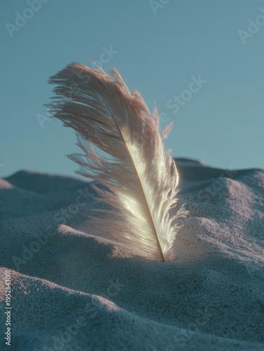 Photograph of a feather resting on a sandy surface. the feather is in the center of the image, with its long, feathery tail feathers spread out in a fan-like shape.