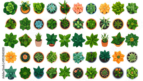 Vector illustration of diverse potted plants and flowers arranged in grid pattern with colorful pots, decorative leaves, and botanical design