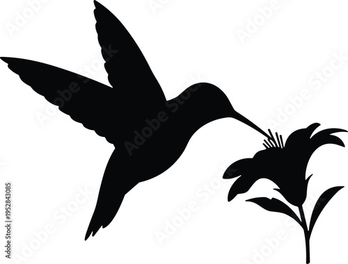 Hummingbird silhouette drinking nectar from flower illustration, flying bird wildlife icon isolated on white background, minimalist nature symbol for garden, tattoo and logo