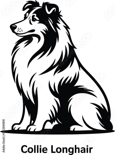 Collie longhair dog sitting icon. 