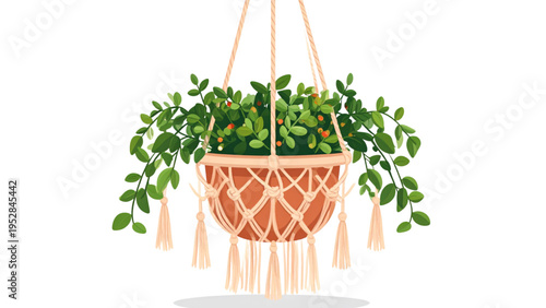 Vector illustration of decorative hanging potted plant with green leaves, red berries, macramé rope holder, tassels, and indoor home decor