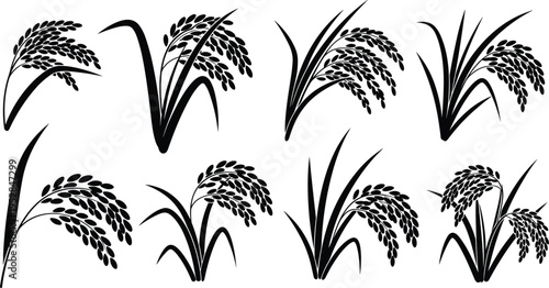 Rice Plant Silhouette Vector Set Featuring Detailed Paddy Grain Illustrations in Black for Agriculture, Farming, Organic Food, and Nature Design Projects