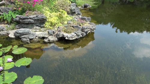 flowers in the rock