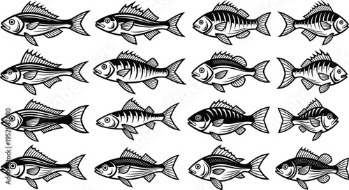 Fish Silhouette Icon Set with Detailed Marine and Freshwater Fish for Fishing Graphics, Seafood Industry Designs, Aquatic Wildlife Illustrations, and Ocean Nature Themes