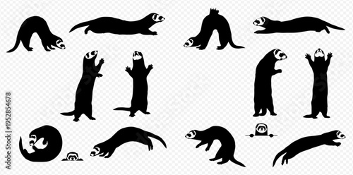 Set of black ferret silhouettes in various playful poses, showcasing their natural curiosity and agility as pets.