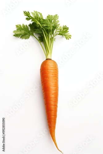 A single carrot with green leaves on a white surface. Suitable for food and cooking-related projects.
